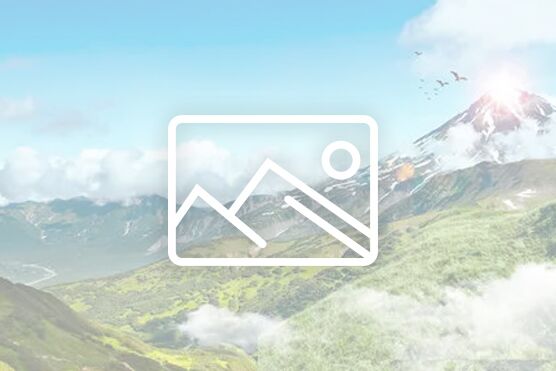 ZX-350育苗袋制袋機(jī)