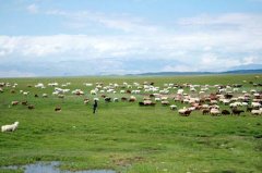 ���C���𴨴���������ʳ�Ļ�������̖(h��o)