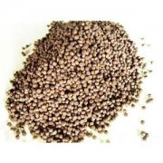 ���С���~(y��)��ω��K�C(j��)���Ƅ�(d��ng)�O�I(y��)�l(f��)չ��������