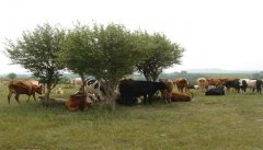 ������ω��K�C(j��)�����F(xi��n)������O(sh��)���r(sh��)�еĮa(ch��n)Ʒ