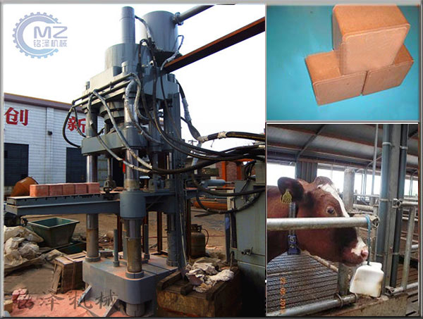 舔鹽壓塊機(jī)