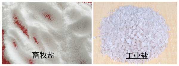 �����}�c���I�}�ą^�e