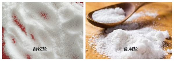 �����}�cʳ���}�^�e